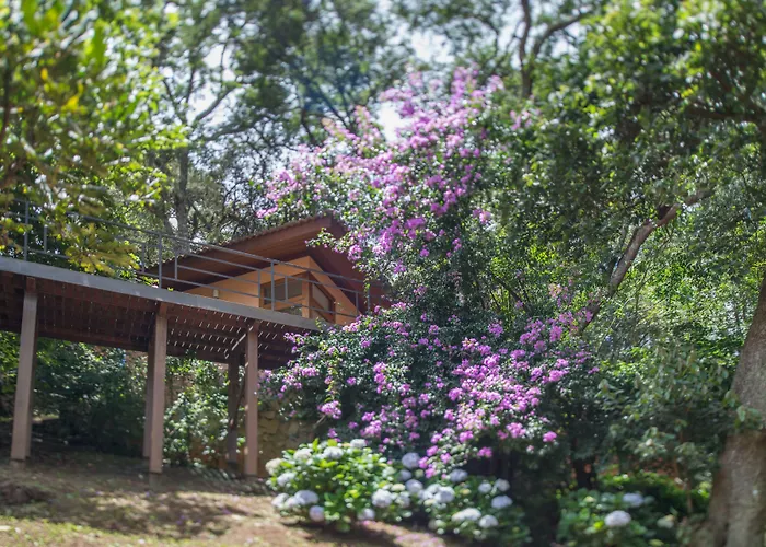 Kuriuwa Hotel